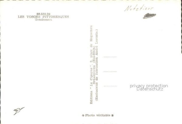 Kuehe Les Vosges – Bild 2