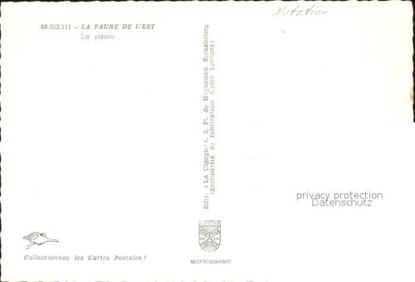 Kuehe Faune de L'Est – Bild 2