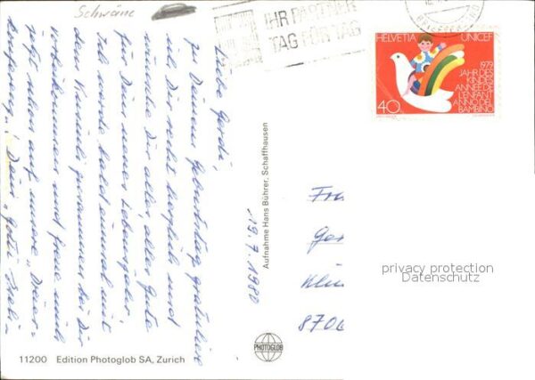Schwan – Bild 2