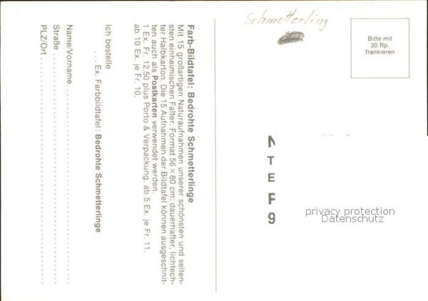 Schmetterlinge Natura-Verlag – Bild 2