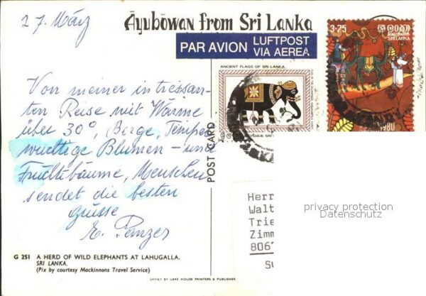 Elefant Herde Lahugalla Sri Lanka – Bild 2