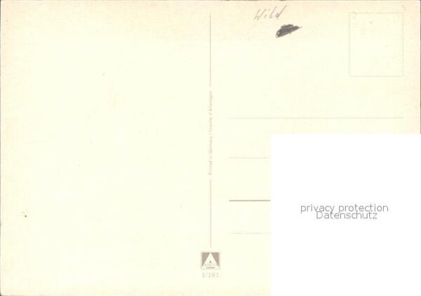 Affen – Bild 2