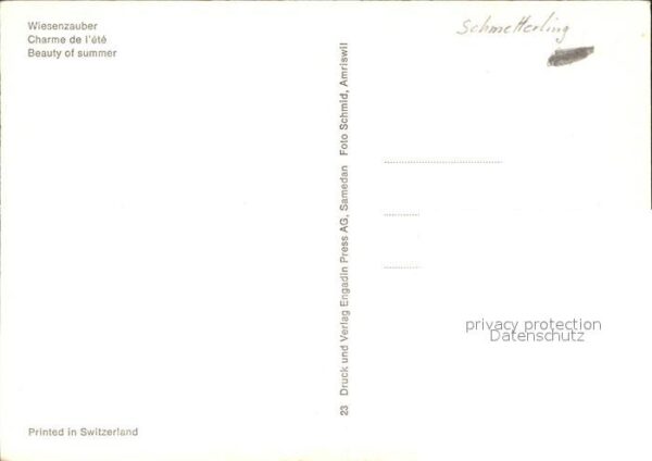 Schmetterlinge Blumen – Bild 2