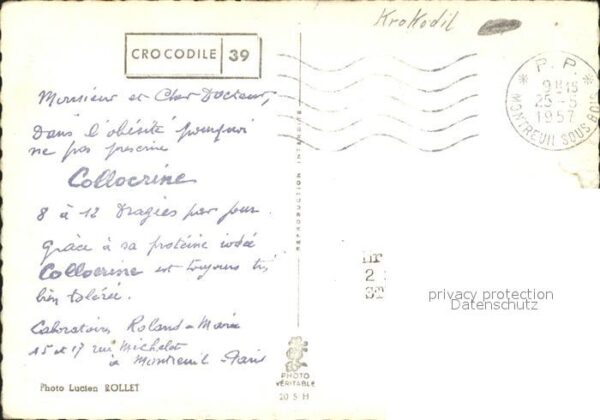 Tiere Krokodil – Bild 2