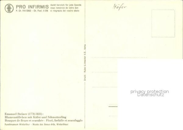 Kuenstlerkarte Emanuel Steiner Blumenstillleben Käfer – Bild 2