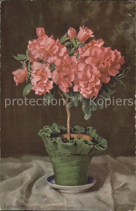 Blumen Künstlerkarte N. H. Nendlberger Nr. 134