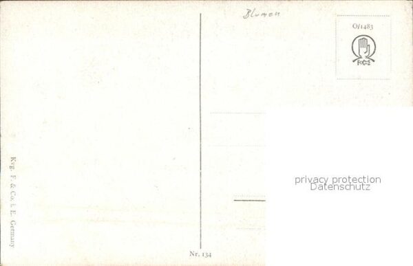 Blumen Künstlerkarte N. H. Nendlberger Nr. 134 – Bild 2