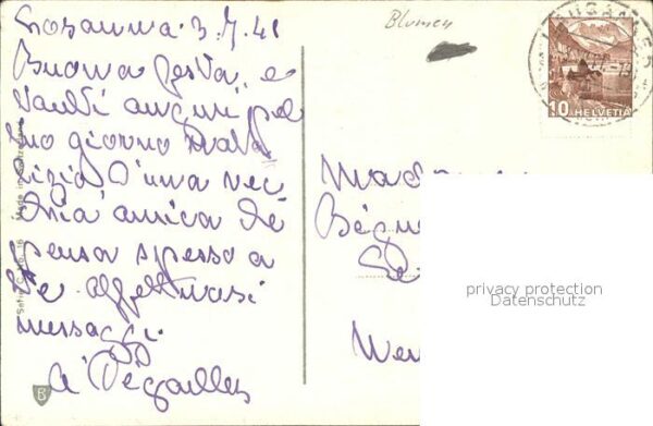 Rosen – Bild 2