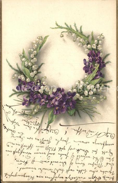 Blumen Veilchen