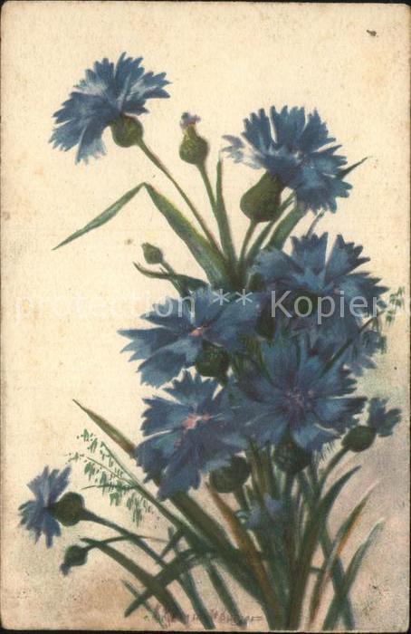 Blumen Künstlerkarte