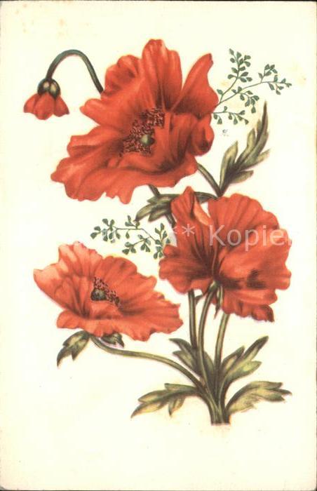 Blumen