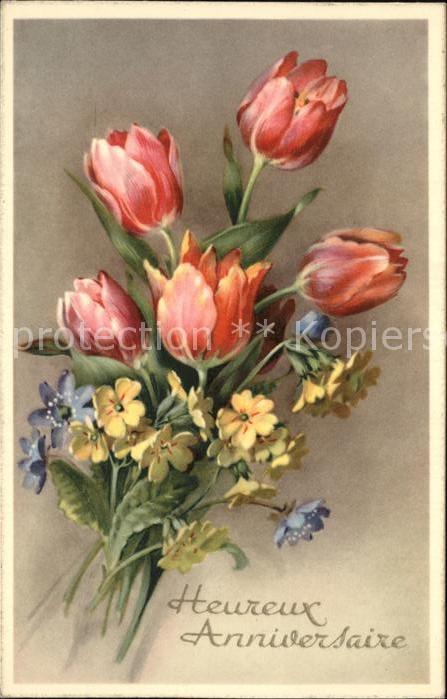 Blumen Tulpen Glückwunsch Geburtstag