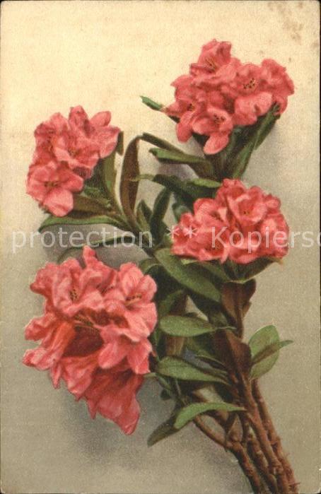 Blumen