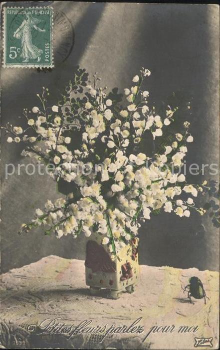 Blumen Käfer