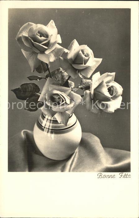 Rosen Glückwunsch Geburtstag