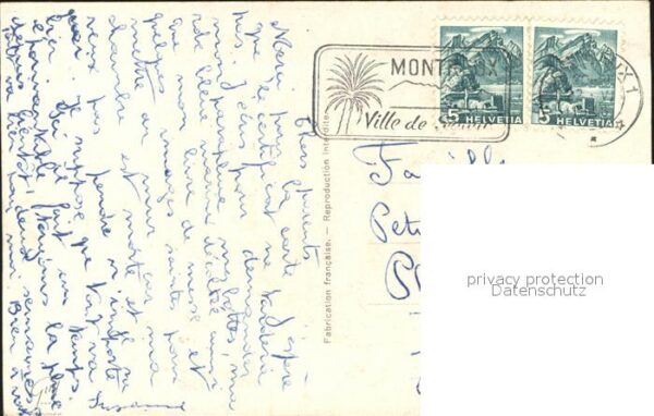 Rosen – Bild 2
