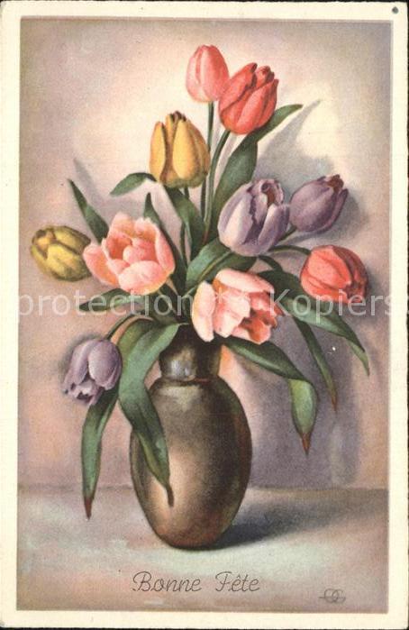 Blumen Tulpen Glückwunsch Geburtstag