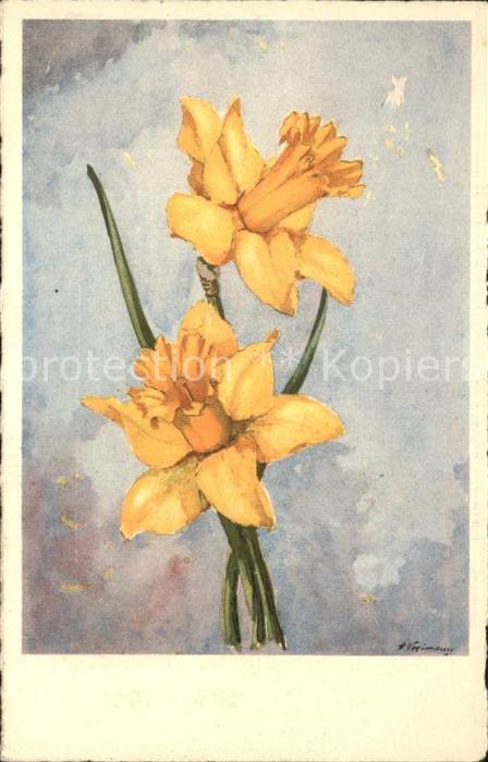 Blumen Narzisse Künstlerkarte