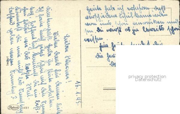 Rosen – Bild 2