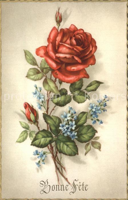 Rosen Glückwunsch Geburtstag