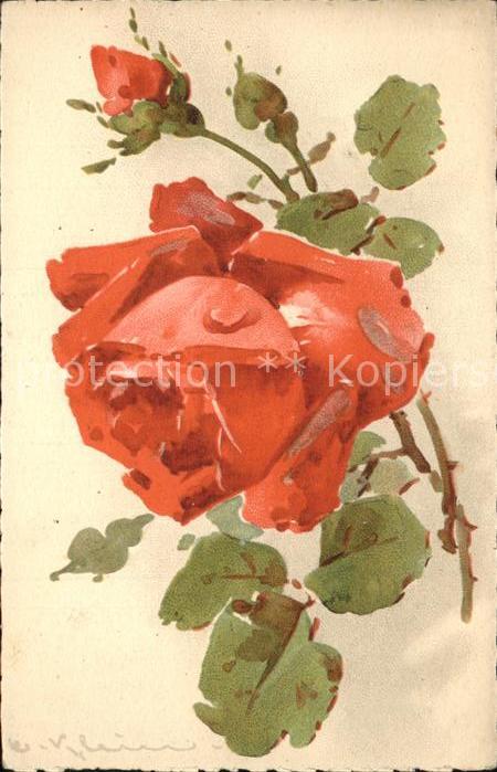 Klein Catharina Kuenstlerlitho Rose