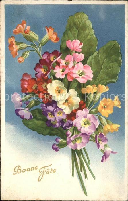 Blumen Glückwunsch Geburtstag