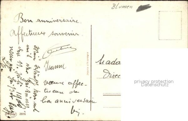 Blumen Glückwunsch Geburtstag – Bild 2