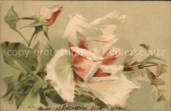 Rosen