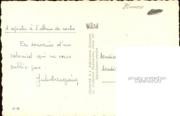 Rosen – Bild 2