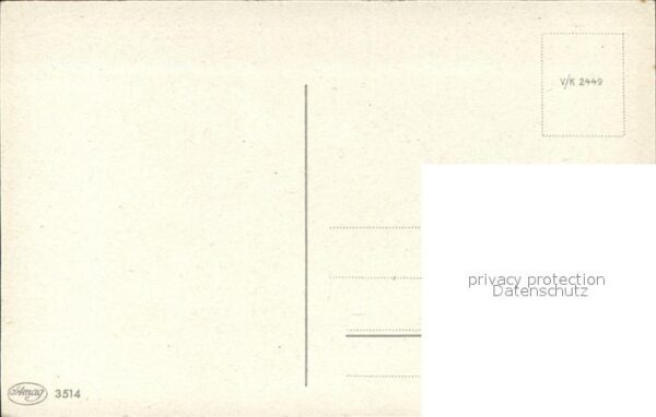 Rosen – Bild 2
