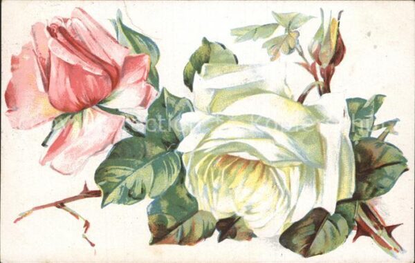 Rosen
