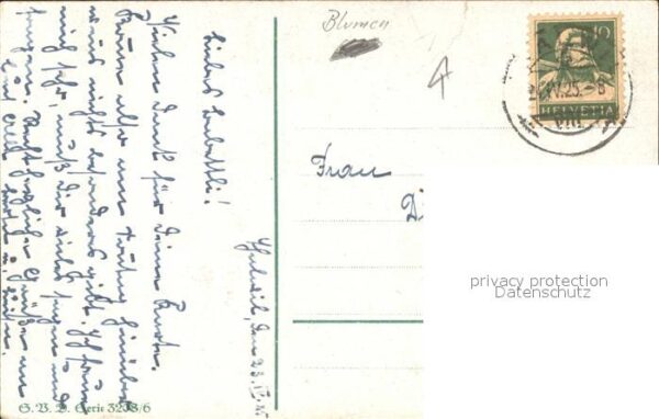 Rosen – Bild 2