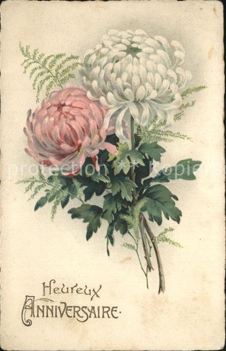Blumen Glückwunsch Geburtstag