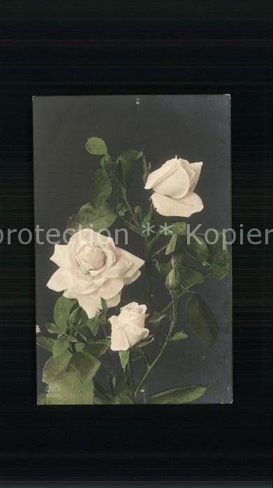 Rosen