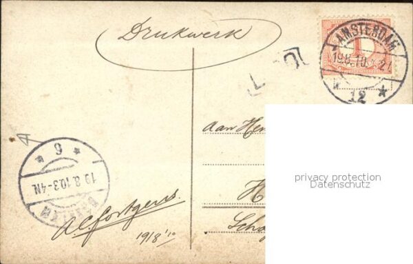 Rosen – Bild 2