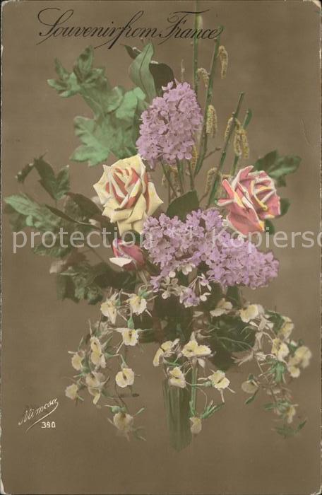 Blumen Rosen