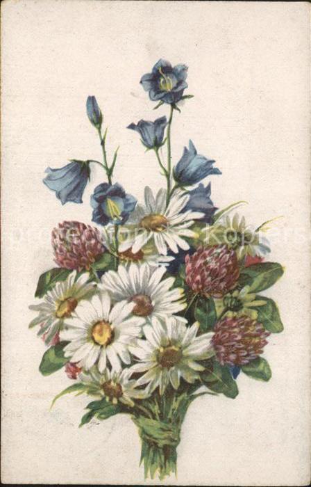 Blumen Margeriten