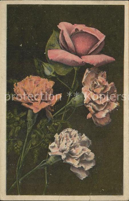 Rosen Blumen