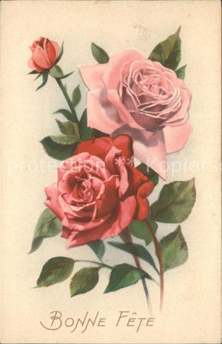 Rosen Glückwunsch Geburtstag