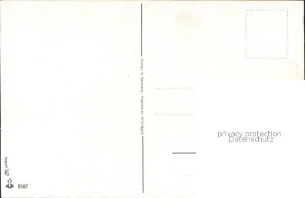 Rosen – Bild 2