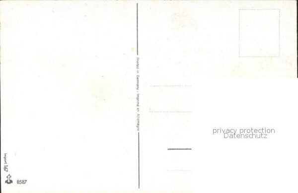 Rosen – Bild 2