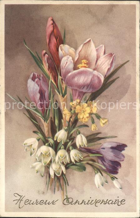 Blumen Maiglöckchen Tulpe Glückwunsch Geburtst
