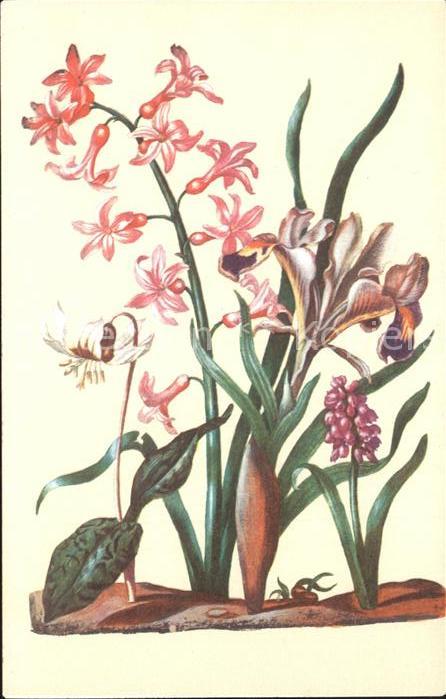 Blumen