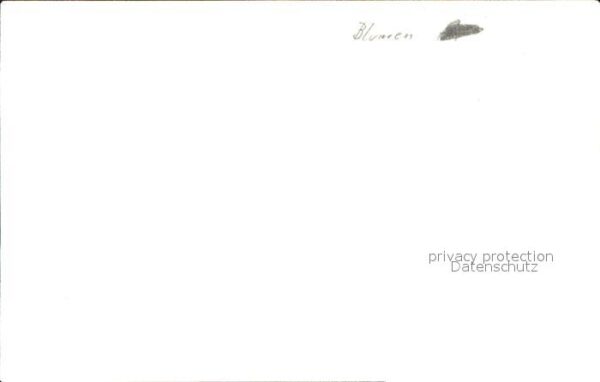 Blumen – Bild 2