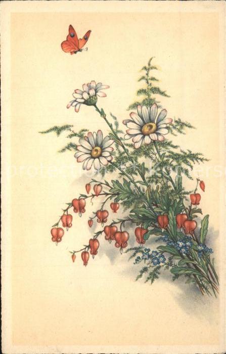 Blumen Schmetterling