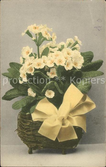 Blumen