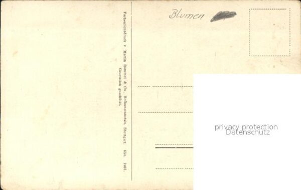 Blumen – Bild 2