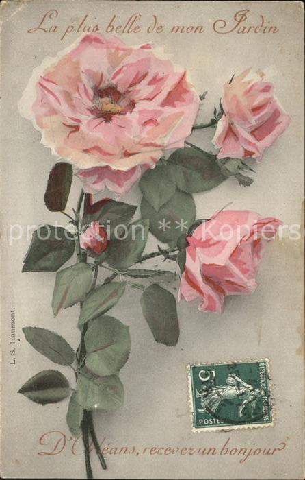 Rosen