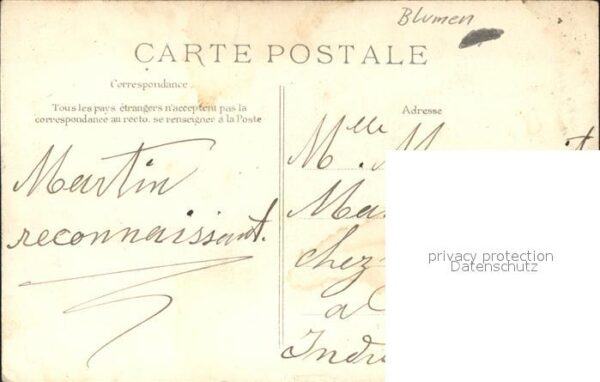 Rosen – Bild 2