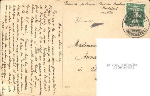 Rosen – Bild 2